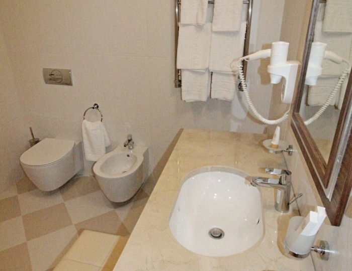 Стандарт 1-ой категории (корп. «Люкс») - Санаторий «Дубовая роща» Железноводск