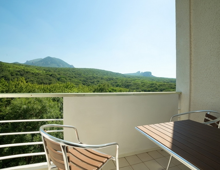 Сингл (корп. «Центральный») - Санаторий «Дубовая роща» Железноводск